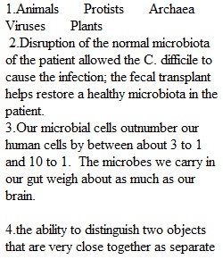 Quiz Chapter 1 3